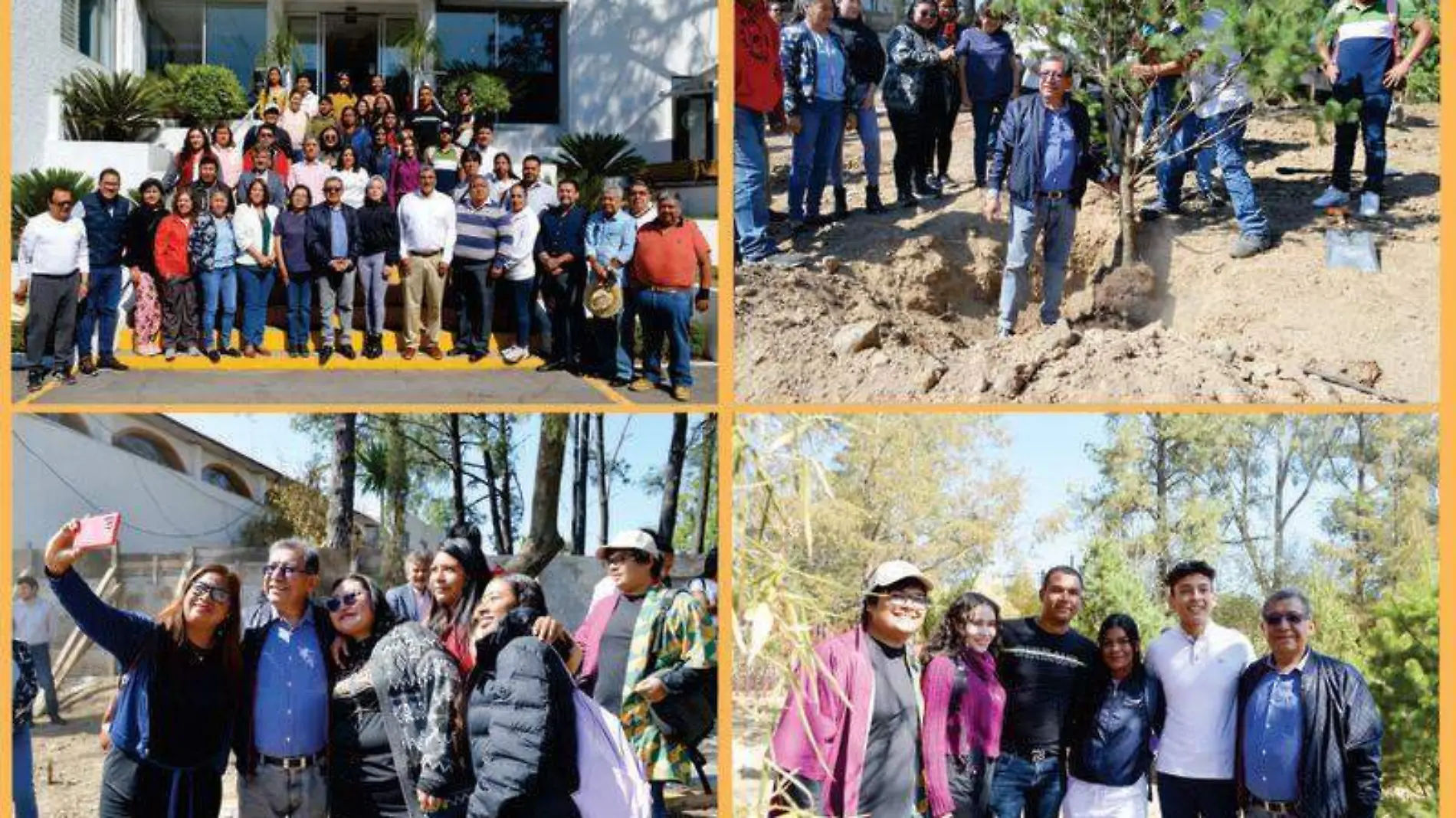 uatx reforestacion